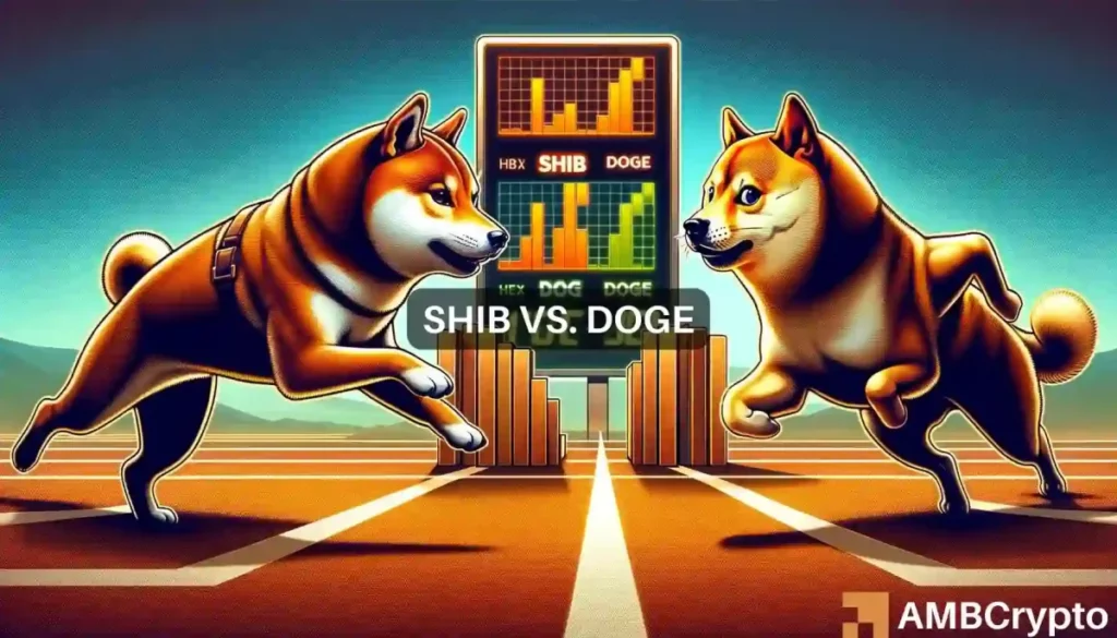 SHIB beats DOGE in 24 hours: Is this the start of a new dawn?