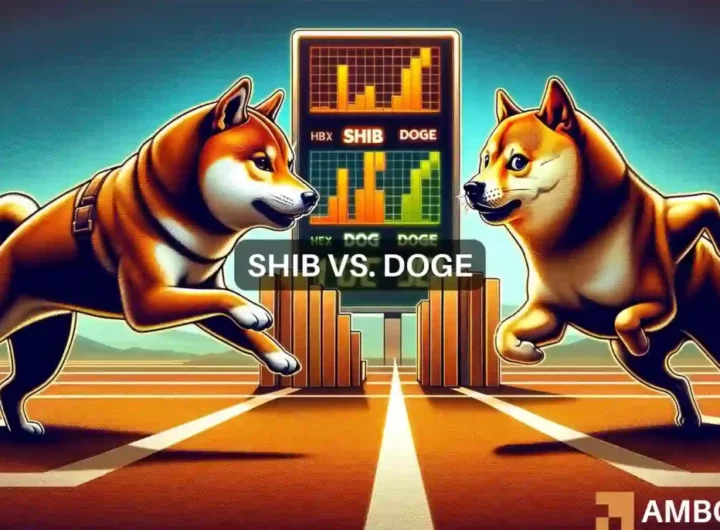 SHIB beats DOGE in 24 hours: Is this the start of a new dawn?