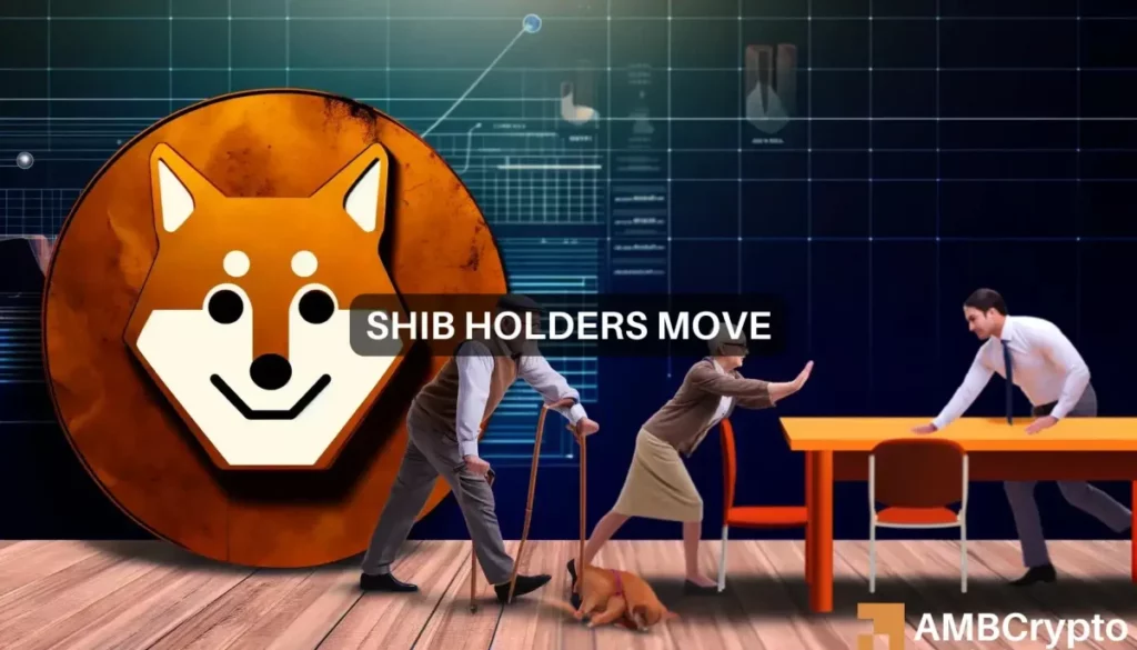 Shiba Inu’s unusual moves: Will SHIB lose another 20%?