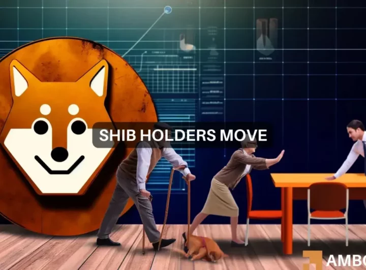 Shiba Inu’s unusual moves: Will SHIB lose another 20%?