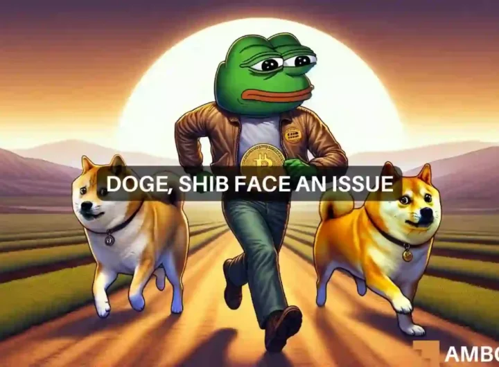 Shiba Inu, Dogecoin left behind: Will PEPE be the new memecoin king?