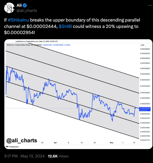 Shiba Inu price prediction by an analyst