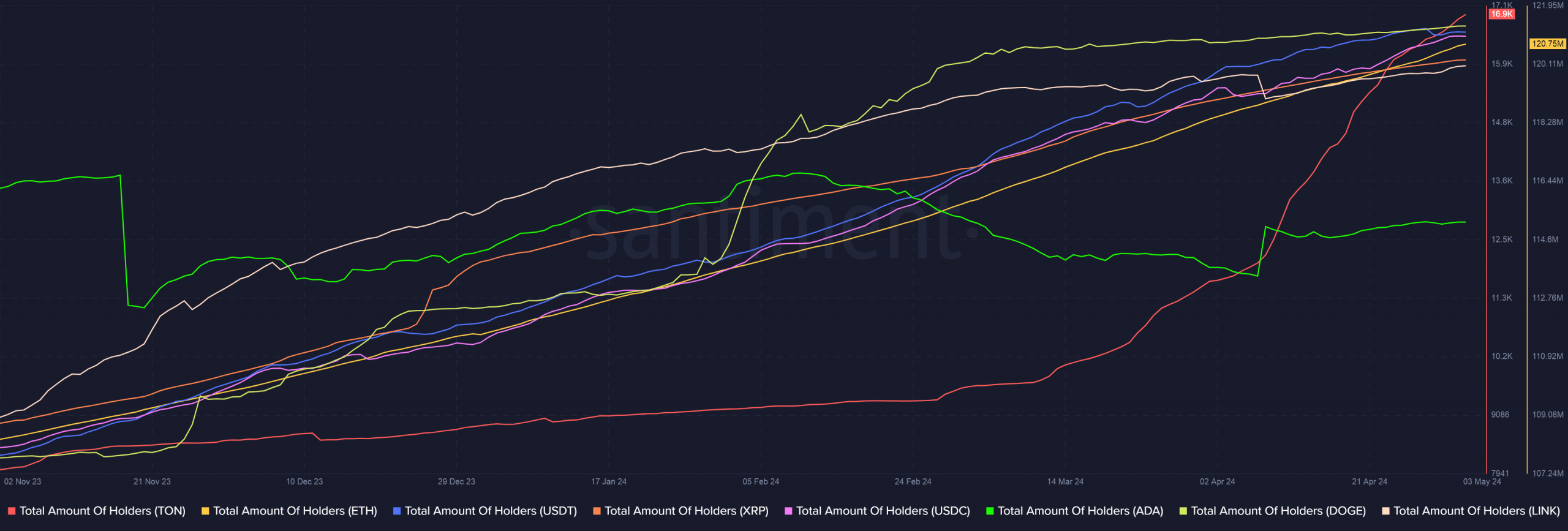 TON network growth