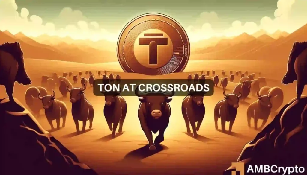 TON’s road to  – Toncoin holders should hope these updates pan out