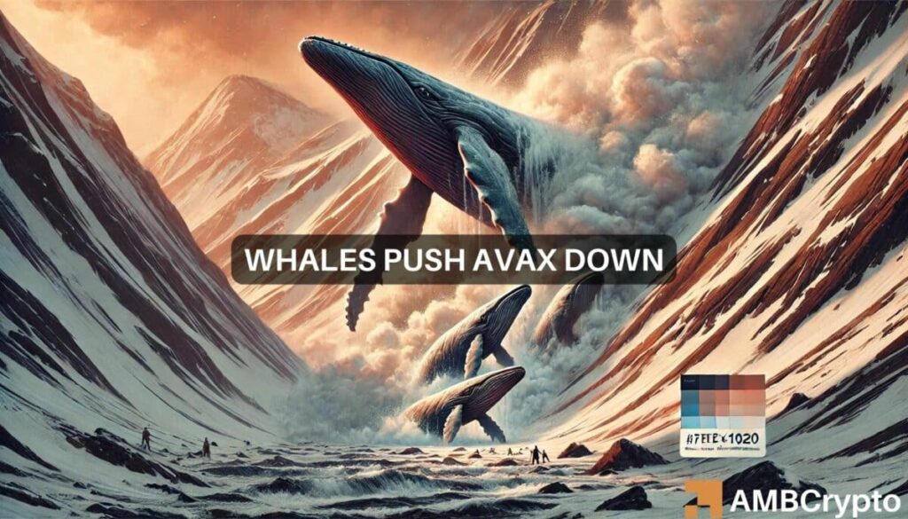 AVAX plunges amidst suspicious whale transactions: What now?