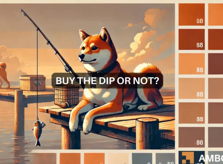 BONK – Should you wait to buy the dip? Memecoin’s price will…