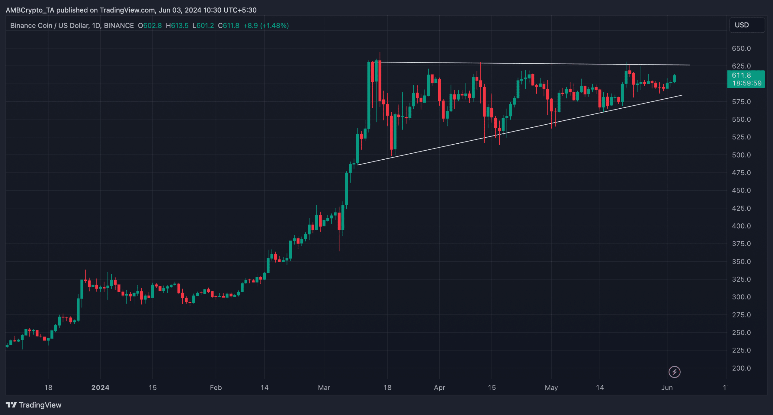 Bullish pennant pattern on BNB's daily chart