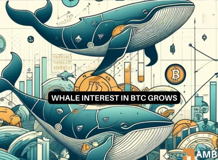 Bitcoin: Record high BTC accumulation by whales, will prices follow?