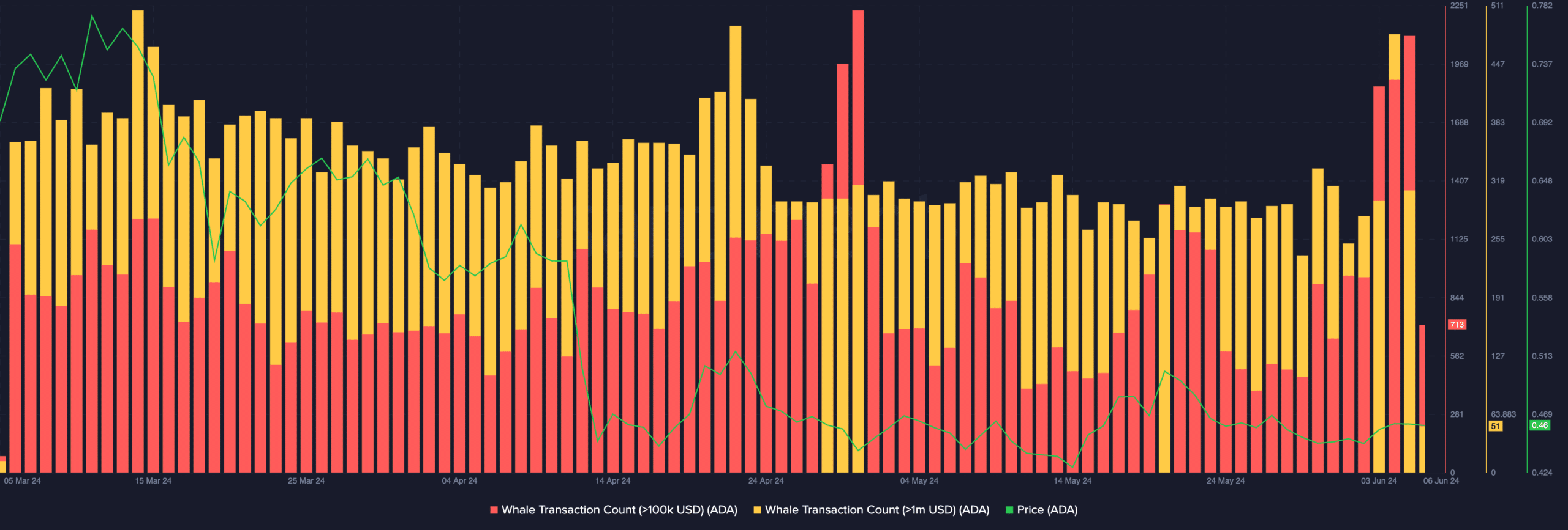 Cardano Whale Activity