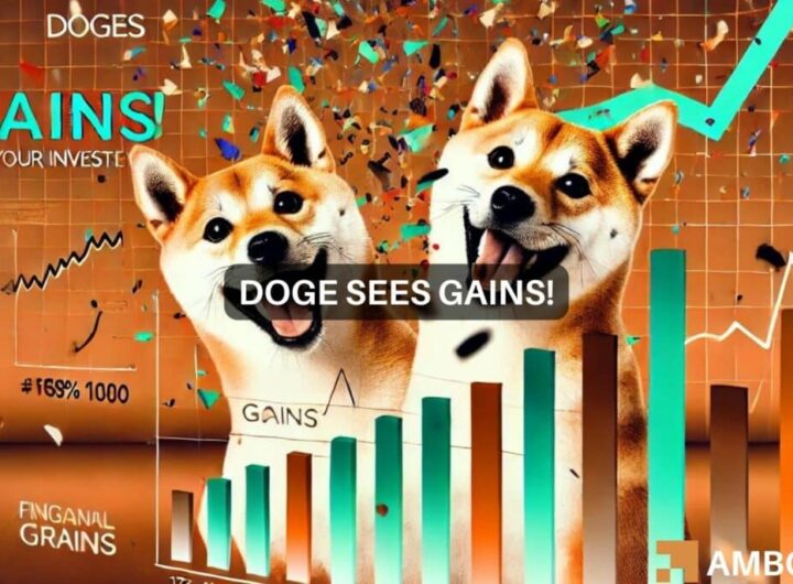 Dogecoin bounces 5% from key support level: Assessing DOGE’s next moves