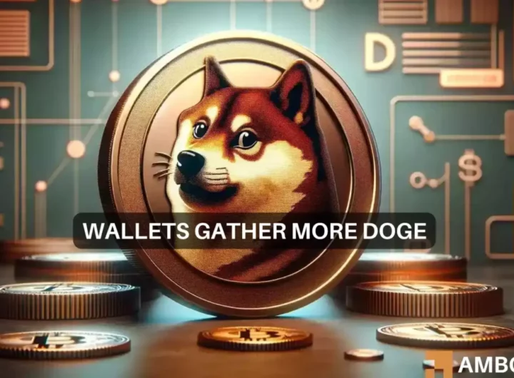 Dogecoin: Can whale accumulation offset DOGE’s price decline?