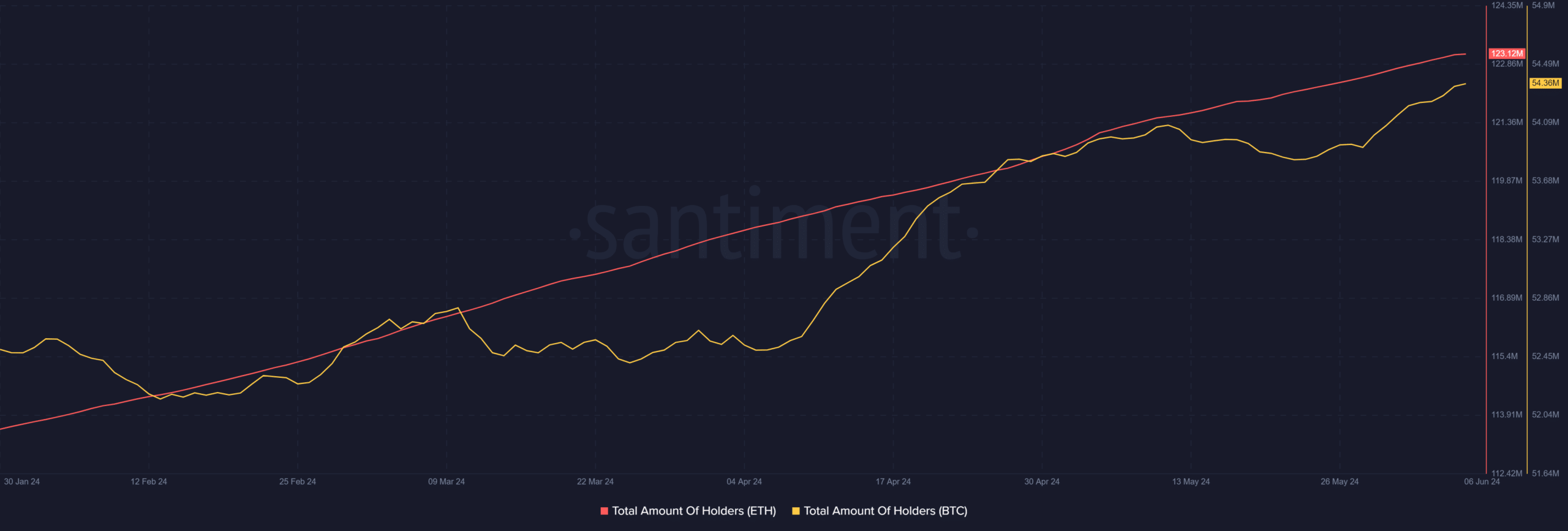 Ethereum and Bitcoin holders