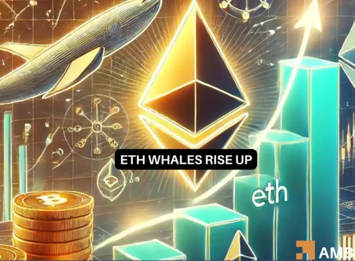 Will the price of Ethereum grow as whale interest rises?