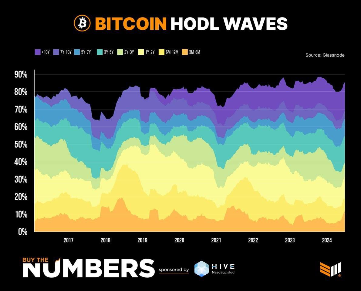 Bitcoin HODL waves