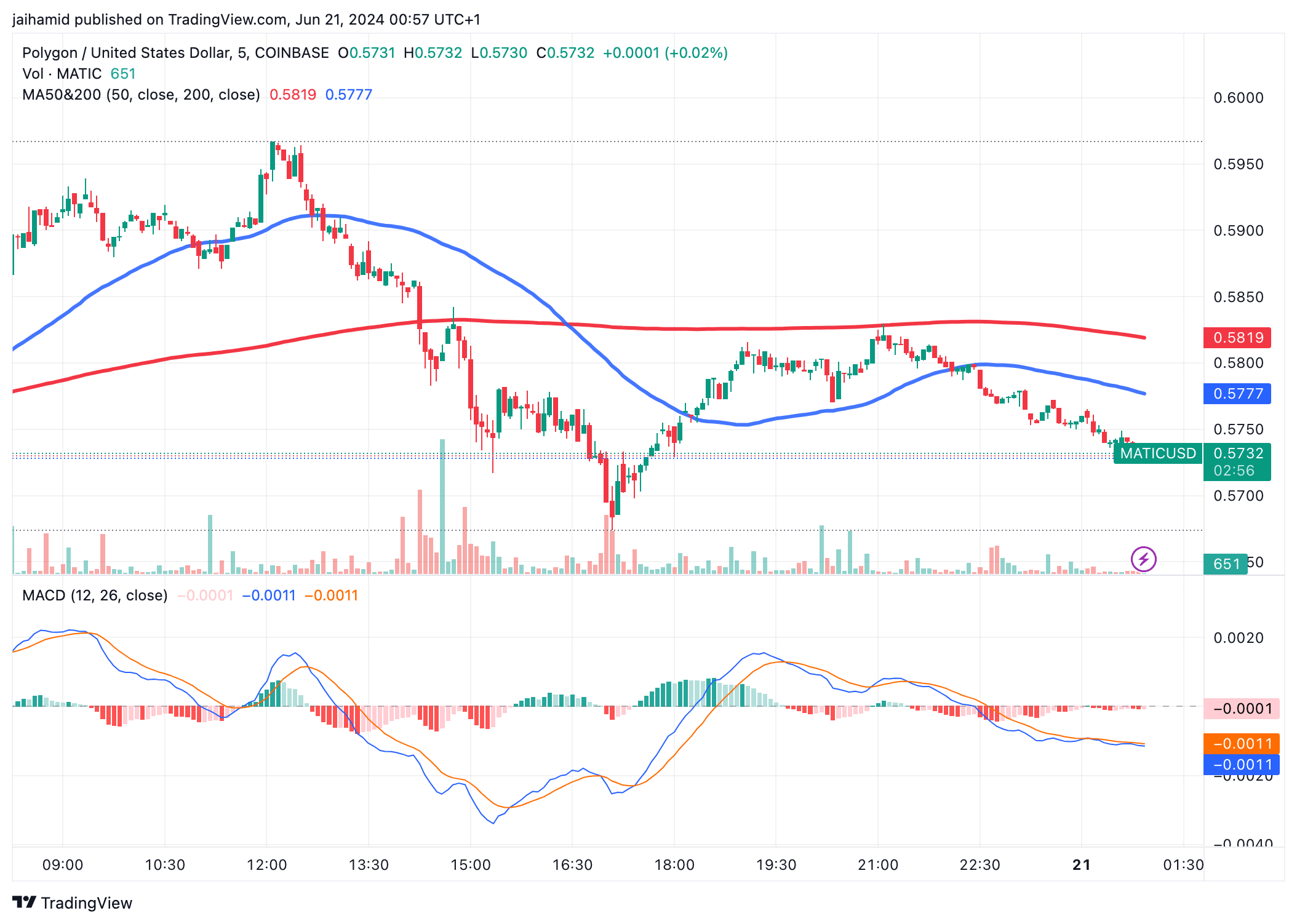 MATIC Joins Altcoin Rebound: Can It Break $1?