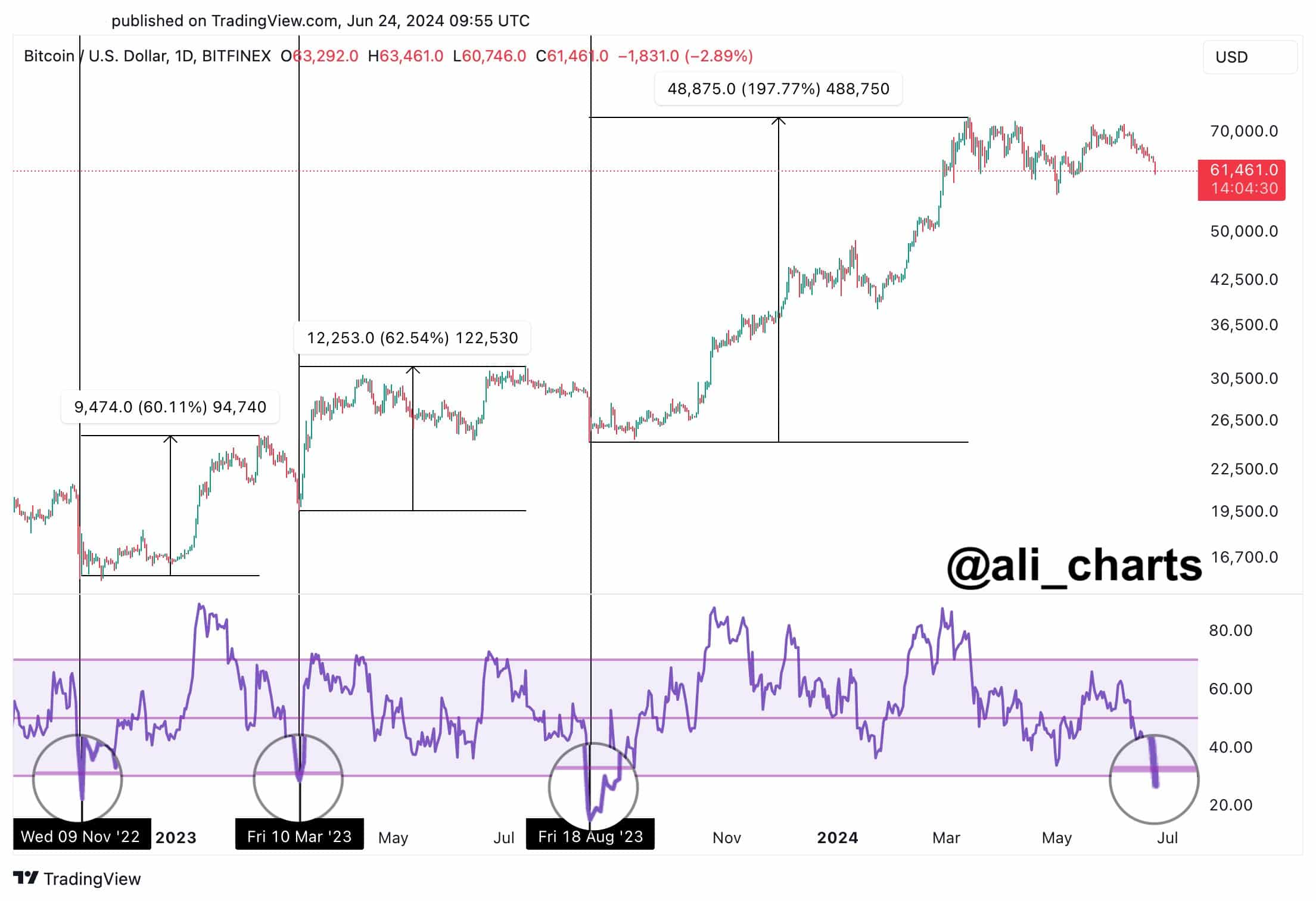 Bitcoin Daily RSI