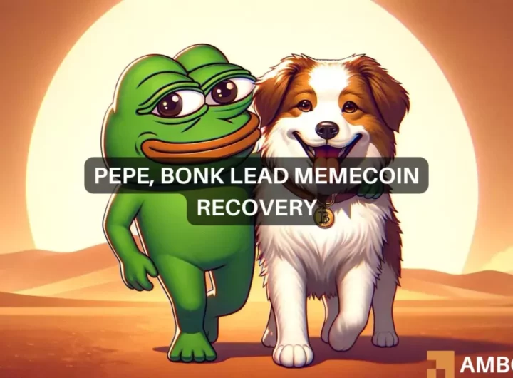 Pepe, Bonk lead memecoin recovery amidst broader market decline