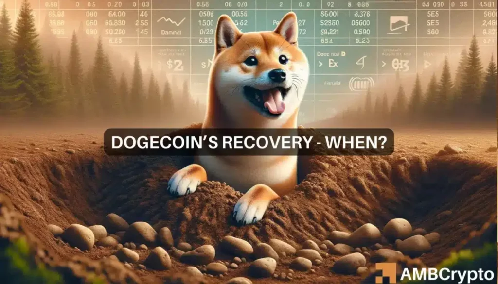 Dogecoin’s price recovery – Identifying the real odds of that happening