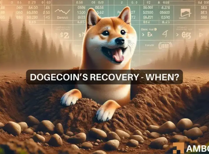 Dogecoin’s price recovery – Identifying the real odds of that happening