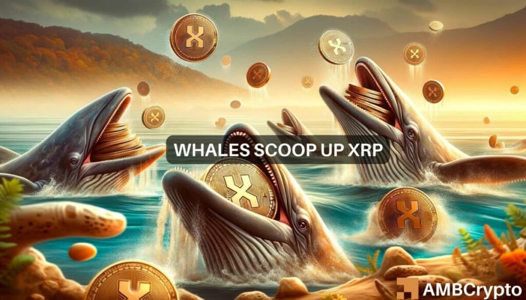 XRP’s 9M question: Are whales betting big on a rally?