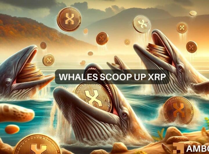 XRP’s 9M question: Are whales betting big on a rally?