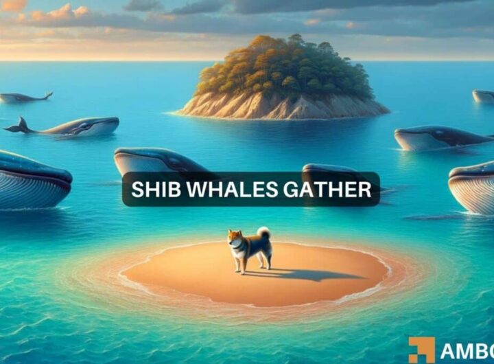 Shiba Inu: What rising whale interest tells us about SHIB’s future