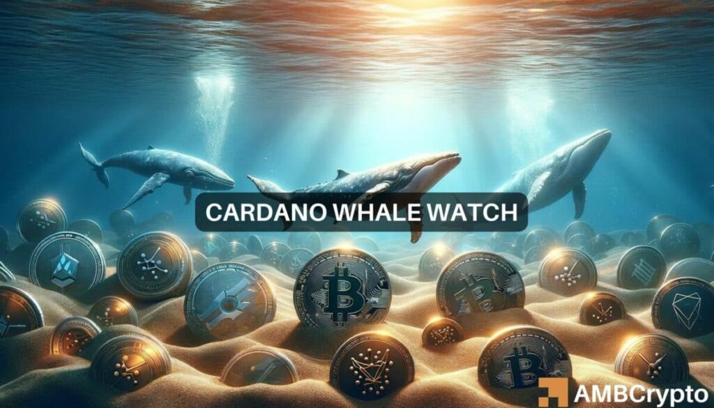 Cardano eyes alt=