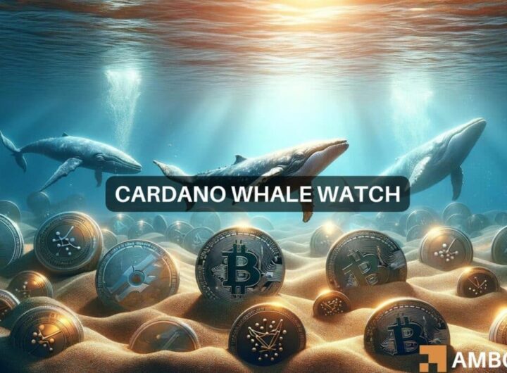 Cardano eyes alt=