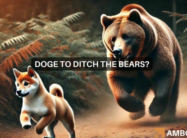 Dogecoin’s 8% jump: Does it signal an end to the bear trend?