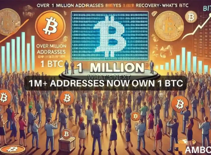 Bitcoin: Over 1M addresses now hold 1 BTC as market eyes recovery