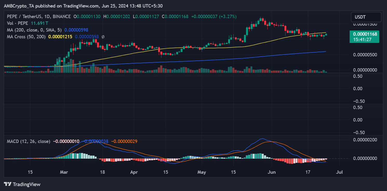 Pepe price trend