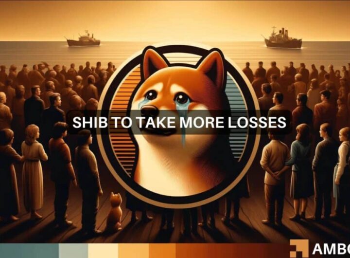 Shiba Inu’s [SHIB] 10% plunge in 7 days, explained