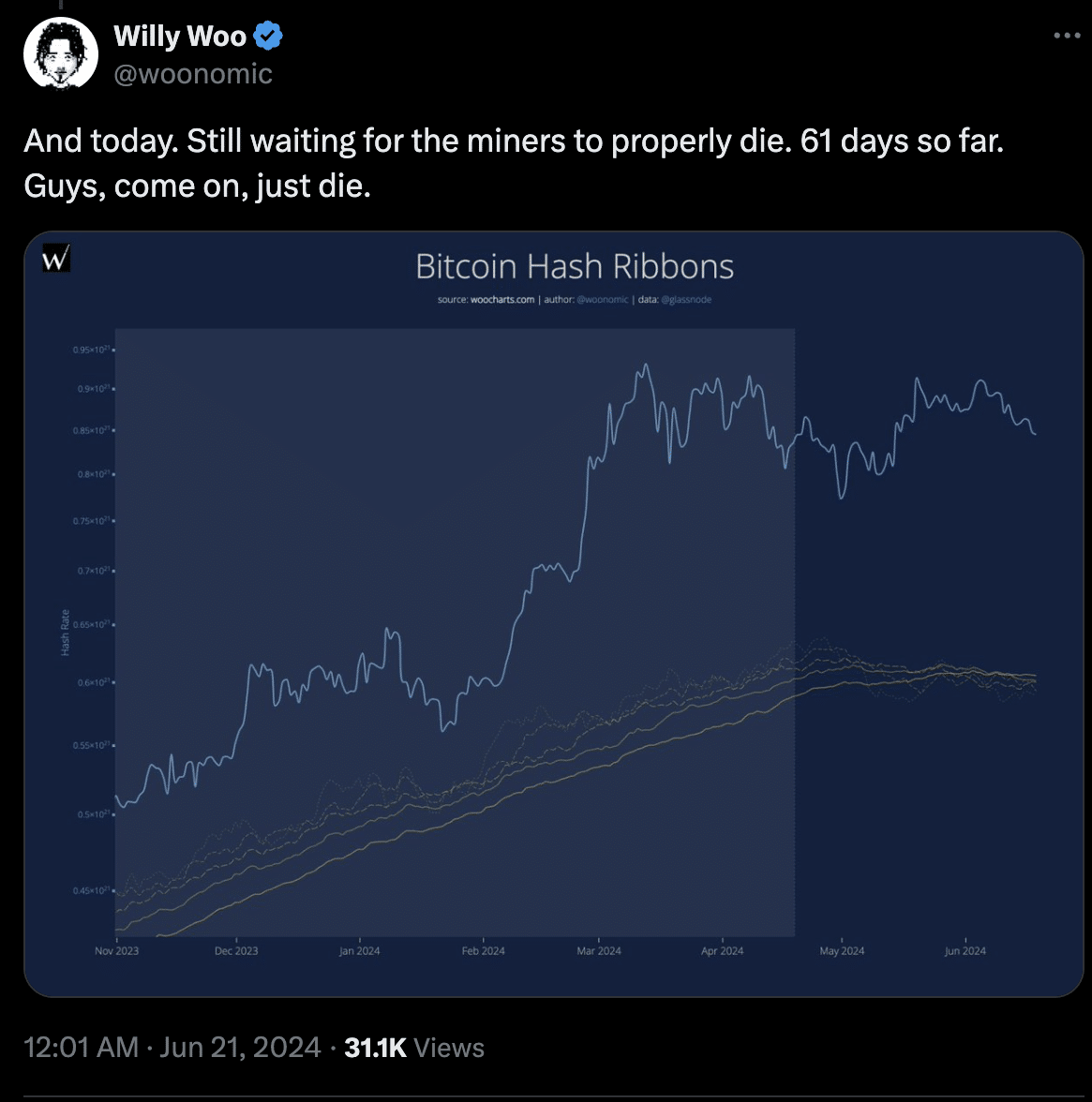 Source: Willy Woo on X