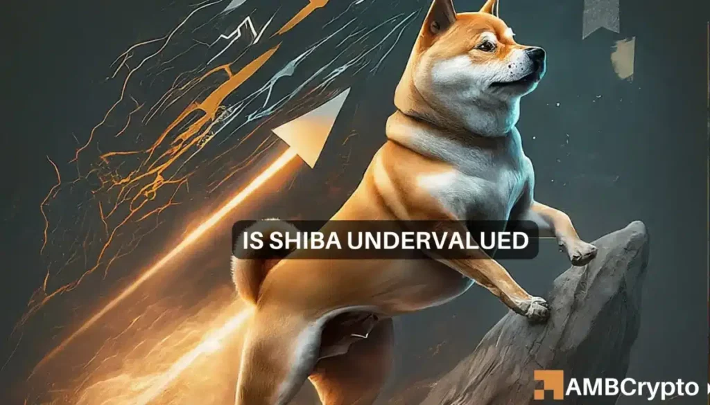 Shiba Inu’s price – Undervalued or not depends on THIS factor