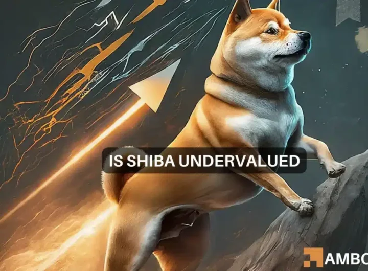 Shiba Inu’s price – Undervalued or not depends on THIS factor