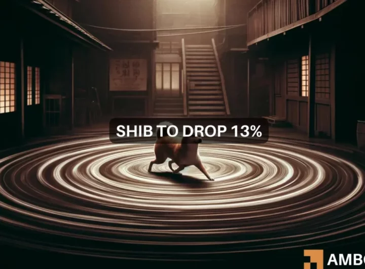 Shiba Inu price prediction: Here’s why you need to prepare for a 13% drop