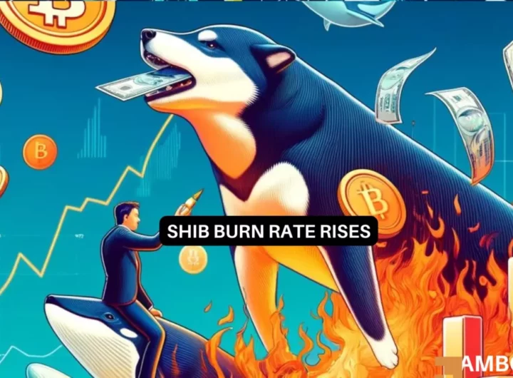 Shiba Inu burn rate soars 3900% – SHIB reacts by…