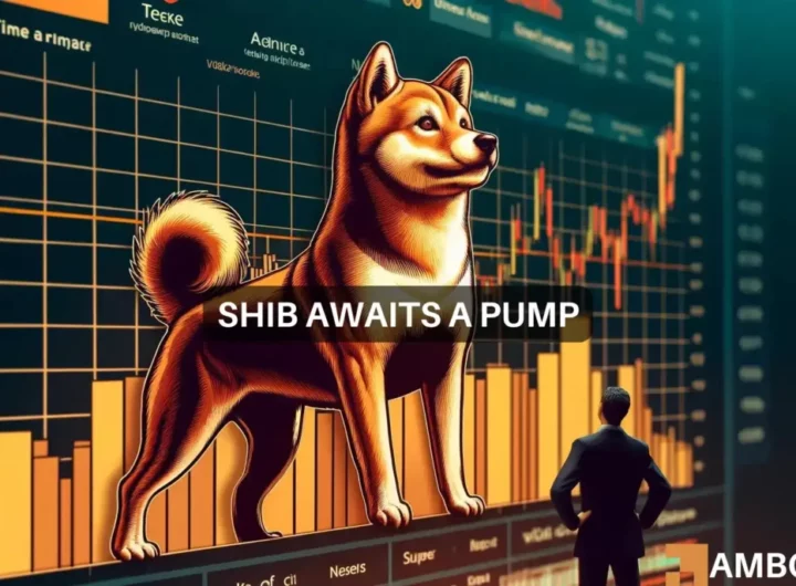 Shiba Inu poised for a comeback? Watch the critical alt=