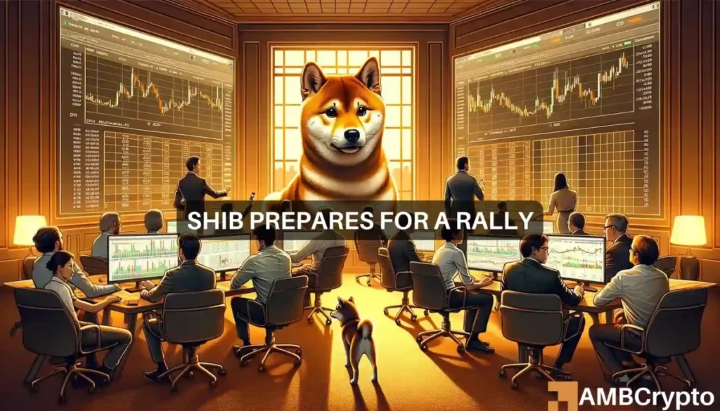 Shiba Inu price drops: Will this whale’s big buy trigger a SHIB rally?