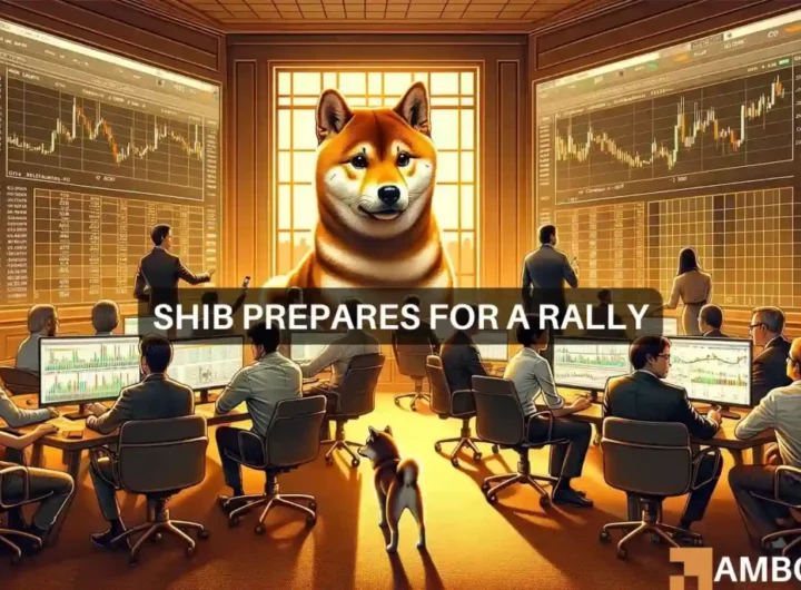 Shiba Inu price drops: Will this whale’s big buy trigger a SHIB rally?