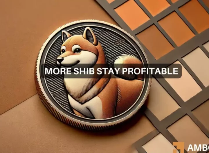 Nearly half of Shiba Inu holders facing losses: What’s next for SHIB?