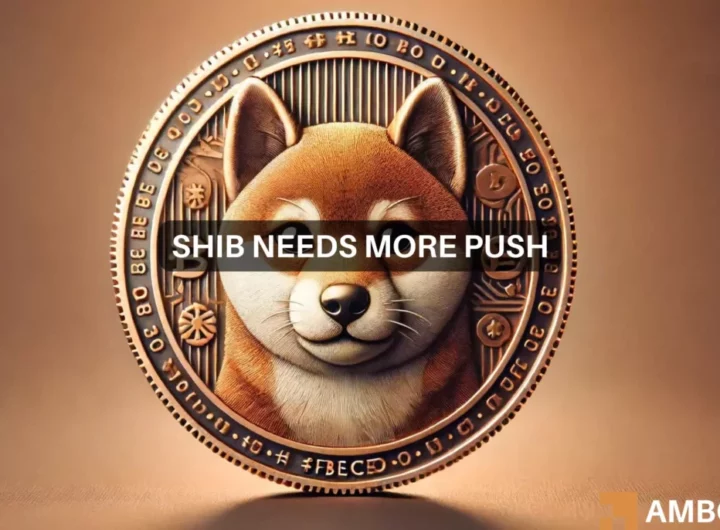 Shiba Inu pauses after a 21% slide: Can it spark a turnaround?