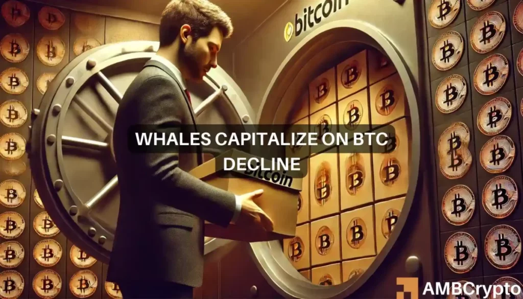 Bitcoin: Whales make risky .3 billion bet as BTC tumbles