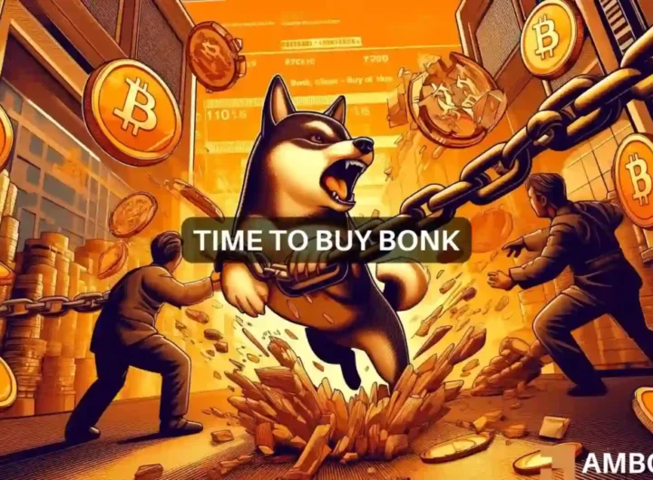 BONK: Is now a rare chance to ‘buy the dip’?