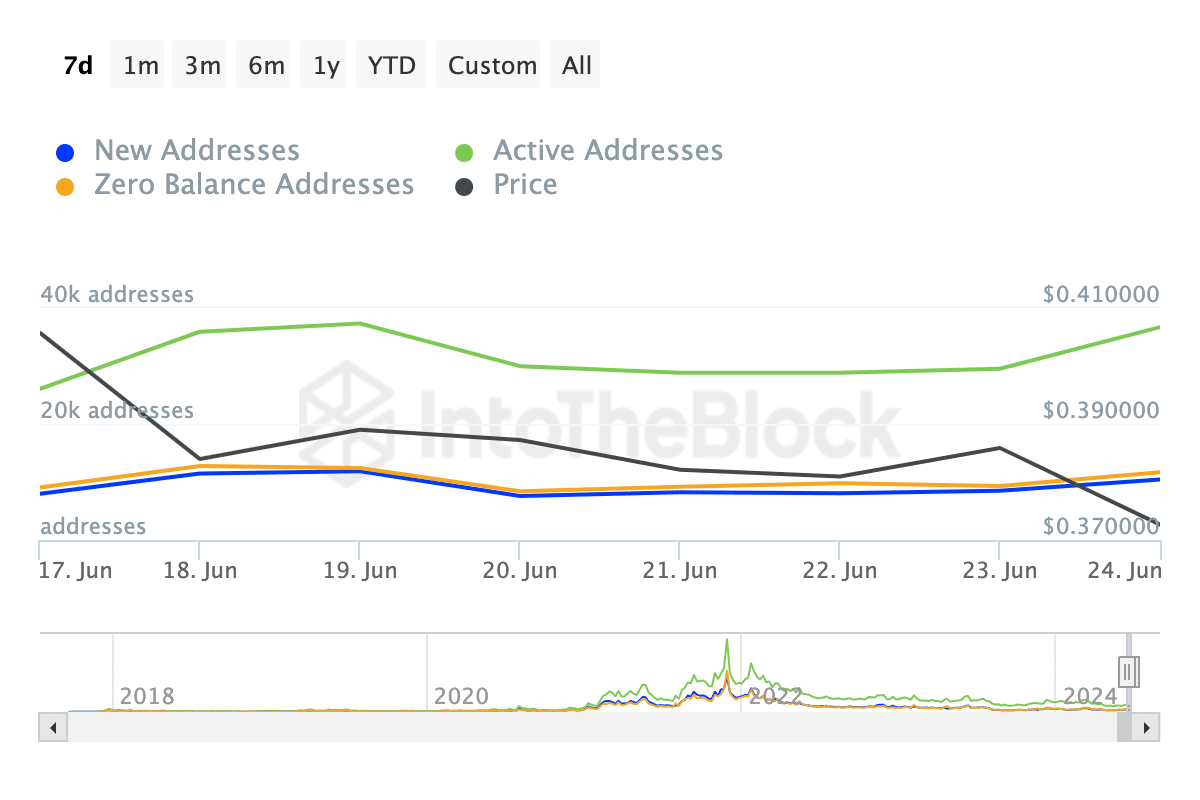 Addresses on Cardano network increased