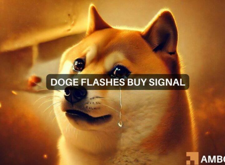 Dogecoin whales make strange moves: Is it time to buy DOGE?