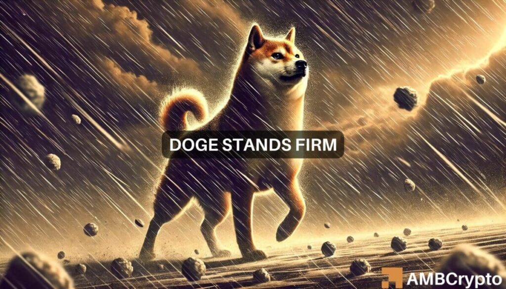 Dogecoin remains strong despite massive liquidation: Here’s why