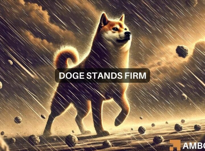 Dogecoin remains strong despite massive liquidation: Here’s why