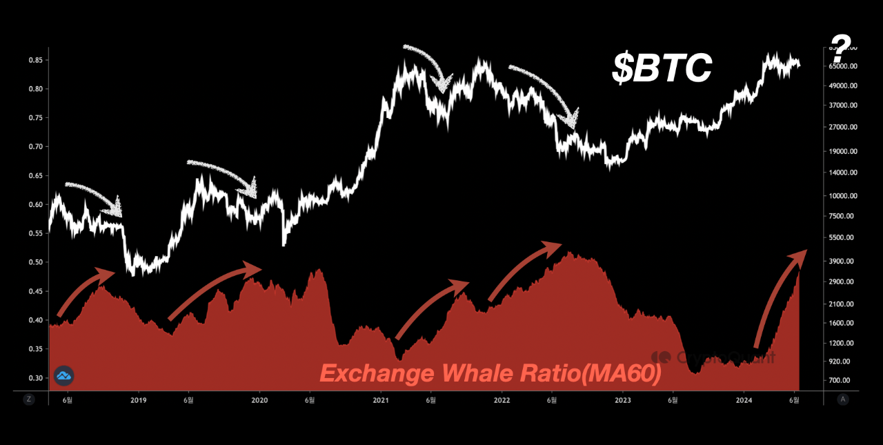 Bitcoin Exchange Whale Ratio