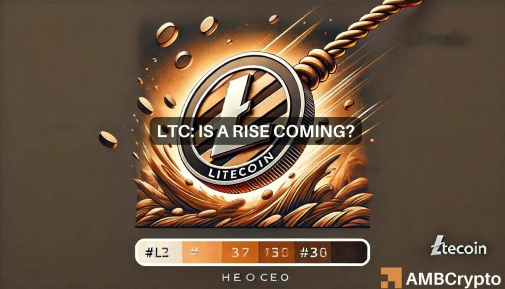 Is Litecoin in danger of falling to ? Breaking down the odds